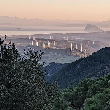Casa De Luz Villa Casares Dış mekan fotoğraf